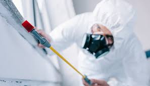 Real Estate Pest Inspections in St Anne, IL